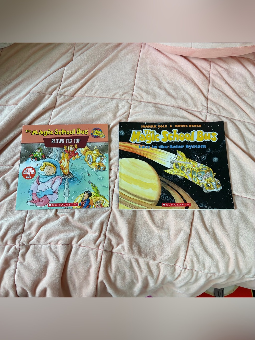 The Magic School Bus book bundle